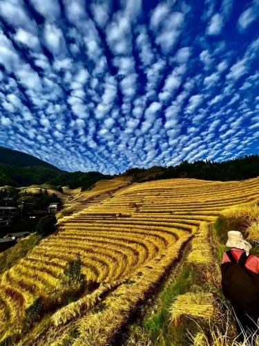 a field of hay with a blue sky with clouds at Long An Hotel 龙胜龙安酒店 in Longsheng