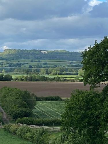 a view of a green field with a fence and trees at Burtree Country House, Tipi's, Treehouse & Lodge & house rooms with hot tubs in a private garden in Thirsk