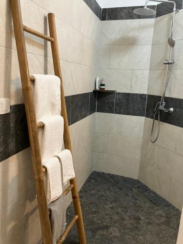 Un baño con ducha y escalera para toallas. en La Carangaise, en Saint-Pierre