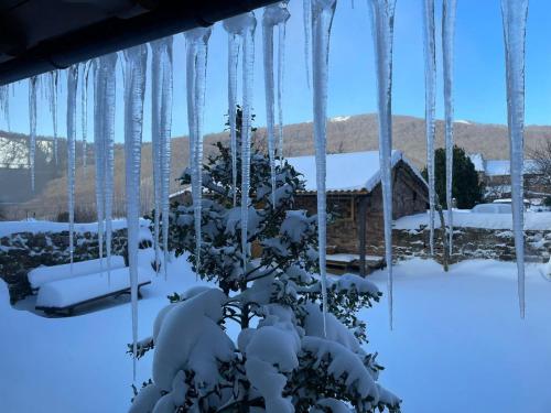 a bunch of icicles hanging from trees in the snow at El Rincón de Golobar en Brañosera in Brañosera