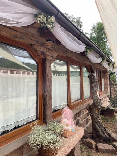 a group of windows on a house with plants at El Rincón de Golobar en Brañosera in Brañosera