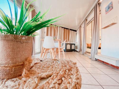 Appartement Terrasse vue Mer