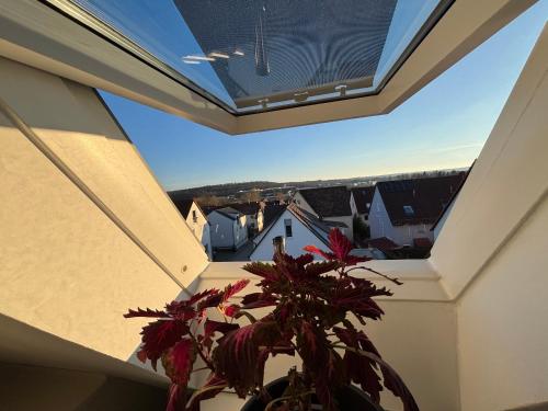 a skylight in a house with a potted plant at Moderne deluxe 3-Zi Eigentums- Maisonette-Wohnung IBM Bertrandt Mercedes in Ehningen