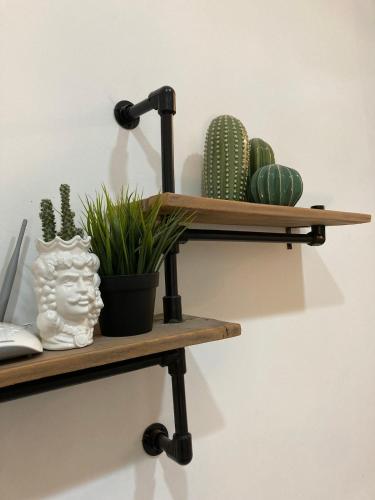 a shelf with cactuses and plants on a wall at La Casetta in Grammichele