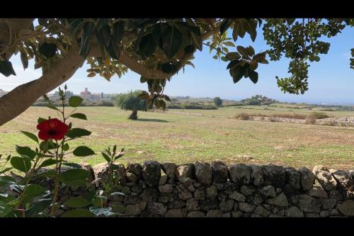 a stone wall in front of a field with a tree at Villa Quartarella - La bellezza nel silenzio - piscina in Michelica