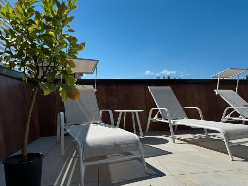 a row of chairs and a potted tree on a balcony at Hotel Adria B&B - Colazione fino alle 12 in Misano Adriatico