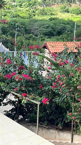 Taman di luar Pousada Várzea Grande