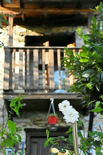Κήπος έξω από το Stonehouse - The Secret Place