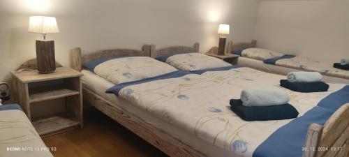 a bedroom with two twin beds with pillows at Guest House Zuzana in Habovka