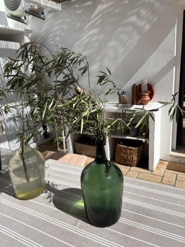 Billede fra billedgalleriet på Quinta das Oliveiras i Olhão