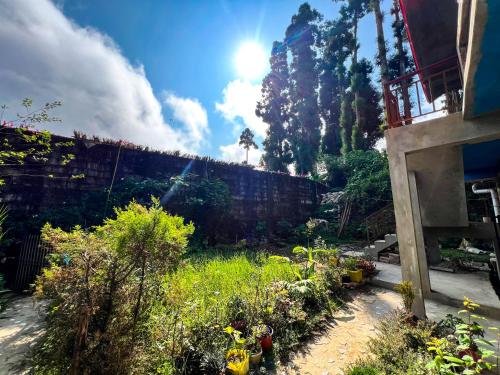 a garden with plants and flowers in a yard at Rise And Shine Homestay in Mirik