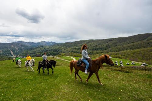 a group of people riding horses in a field at Swissôtel Resort Kolasin in Kolašin