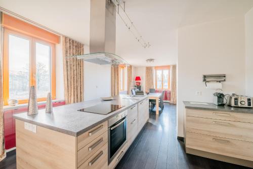 une cuisine avec un évier et un plan de travail dans l'établissement La Perle Isolée - Grand appartement contemporain et chaleureux près de Pontarlier, à Doubs