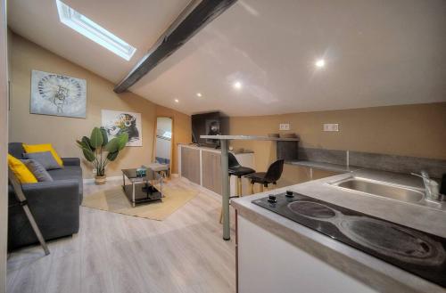 Il dispose d'une cuisine et d'un salon avec un évier et un canapé. dans l'établissement Studio Cannes, à Cannes