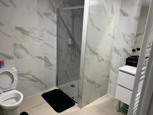 une salle de bain avec douche et toilettes dans l'établissement Studio cosy, à 2 pas RER A et E, à Le Perreux-Sur-Marne