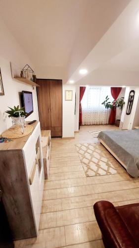 a large living room with a bed and a kitchen at Casa Nicolae in Brăila