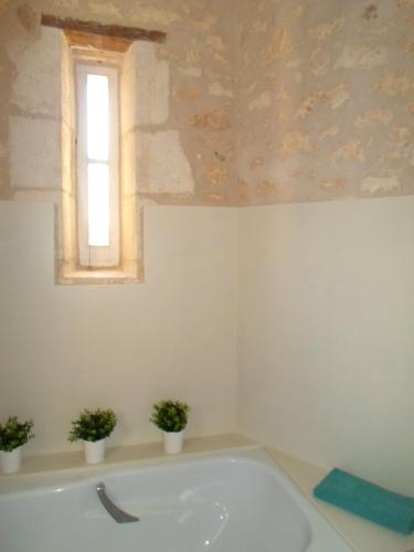 a bathroom with a bath tub with two potted plants at Domaine de Monciaux 2 piscines Tennis 40 Pers in Bourrou