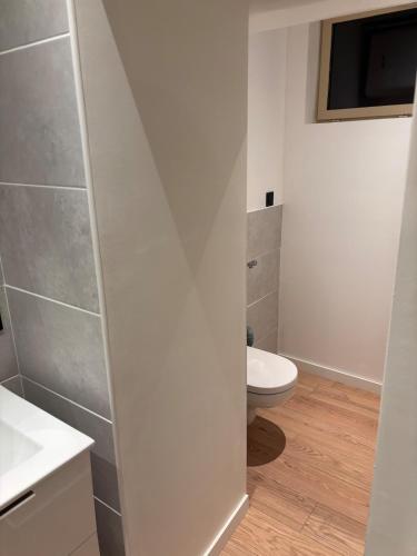 une salle de bain avec toilettes et lavabo dans l'établissement Appartement de la côte, à Murol