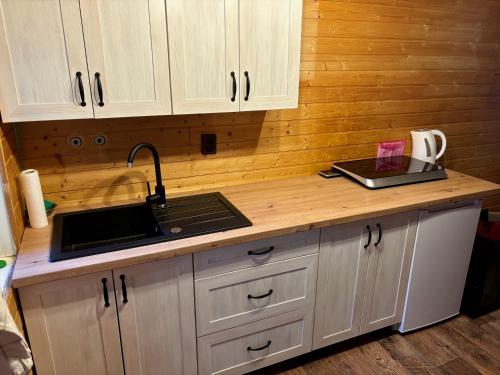 a kitchen with a counter top with a sink at Na samotě u lesa in Vsetín