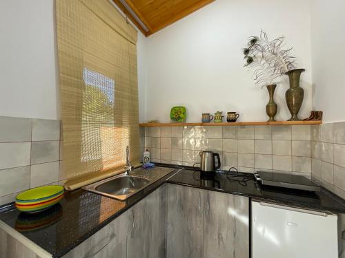 Kuchyň nebo kuchyňský kout v ubytování Art Rooms Garni B&B