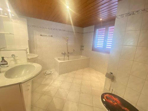 Bilik mandi di AlpenHaus, retreat home