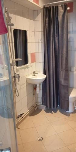 une salle de bain avec un lavabo, des toilettes et une douche dans l'établissement Maison 4 chambres avec jardin, à Saint-Jean-dʼAngély