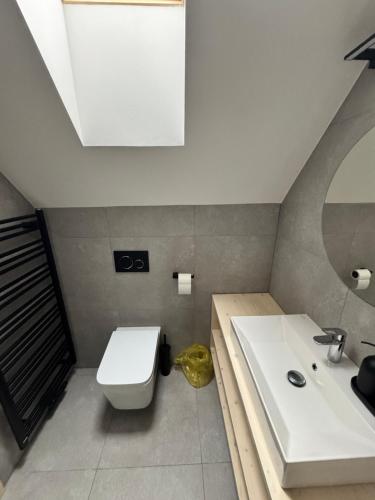 a bathroom with a white toilet and a sink at Penzion a Restaurace Pod Sjezdovkou in Čenkovice