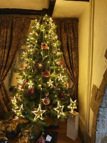 a christmas tree with lights and stars on it at Apple Blossom Guesthouse in Rempstone