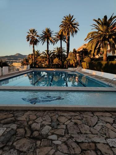 une piscine avec des palmiers en arrière-plan dans l'établissement Garden in Nice Mont Boron, à Nice