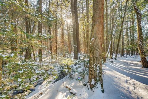 a snow covered forest with the sun shining through the trees at The Babbling Brooke in Blakeslee