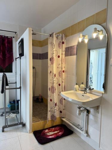 une salle de bain avec un lavabo et une douche dans l'établissement Vaudes chambre, à Vaudes