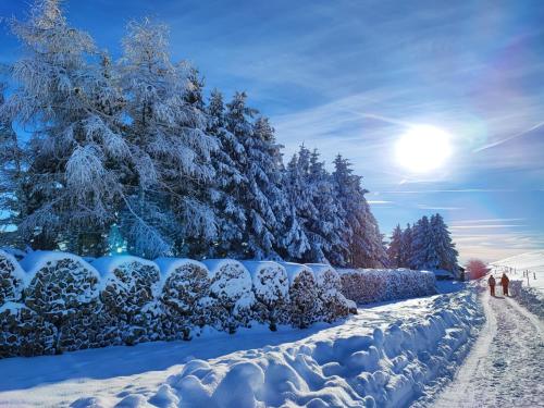 Le spitzacker gîte familial au calme en invierno
