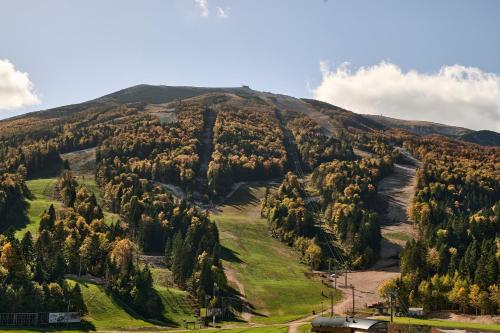 a view of a mountain with trees on it at Hotel Han Bjelašnica in Bjelašnica