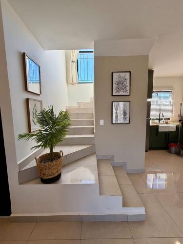 a hallway with stairs and a plant in a basket at Ensenada Valle PH in Ensenada