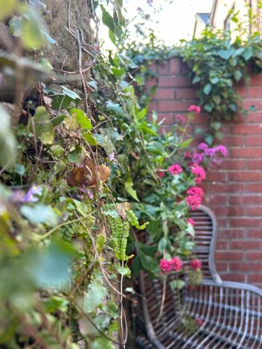 a bench sitting next to a brick wall with flowers at Downshire Haven in Holywood