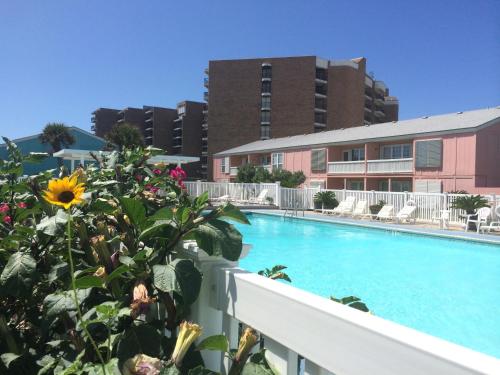 a view of a swimming pool at a hotel at Executive Keys Condominiums on the Beach in Port Aransas