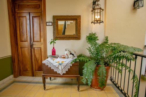 aoyer with a table and a plant and a mirror at Grand Casa Naranjos, Hospedaje Alteño in Tepatitlán de Morelos