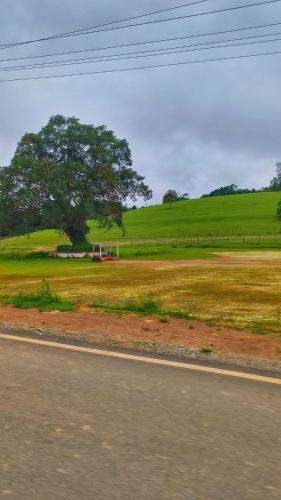 a tree in the middle of a field with a road at Kamoga Homestay in Virajpet