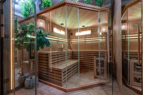 a sauna with a glass enclosure and a potted plant at Apartamenty i Pokoje Teklarz & SPA in Murzasichle