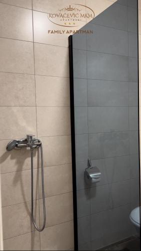 a shower in a bathroom with a glass door at Apartmani Kovačević MKM Banja Vrujci in Gunjica
