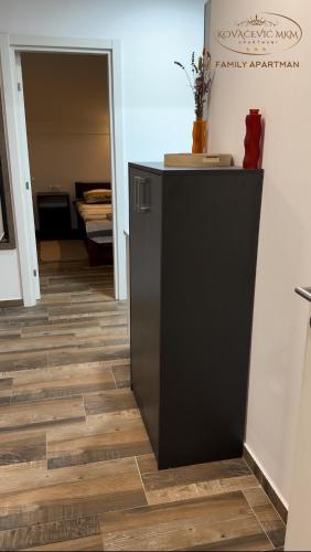 a hallway with a black cabinet in a room at Apartmani Kovačević MKM Banja Vrujci in Gunjica