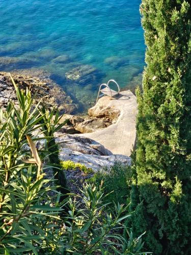 a path in the water next to the ocean at Villa Moro: Beachfront Privacy in Trstenik