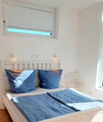 a bedroom with a bed with blue pillows and a window at Fjordhaus Schleiwind in Fahrdorf