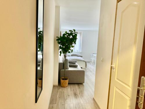 a living room with a chair and a potted plant at Prime Suites near Schönbrunn Castle in Vienna