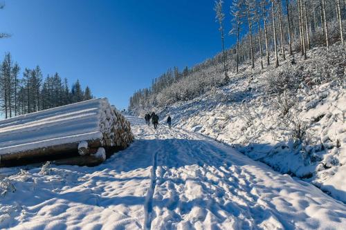two people walking down a snow covered road at Green Tiny Village Harz - Sleep Space 32 in Osterode