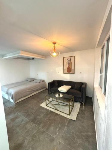 un salon avec un canapé et un lit dans l'établissement Cozy apartment, à Riom