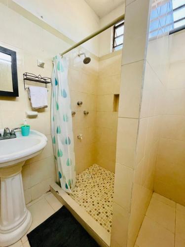 a bathroom with a shower and a sink at La casita in Tizimín