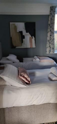 Ένα ή περισσότερα κρεβάτια σε δωμάτιο στο Bodalwyn Guest House