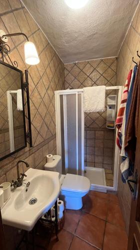 a bathroom with a sink and a toilet at Acogedora casa en Pampaneira in Pampaneira