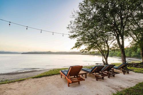 a row of chairs sitting on the beach at Papagayo Golden Palms Beachfront Hotel in Papagayo, Guanacaste
